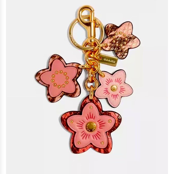 Coach Accessories - Coach wildfire cluster fob charm/ key cain. NWT. Vintage rare. 90033